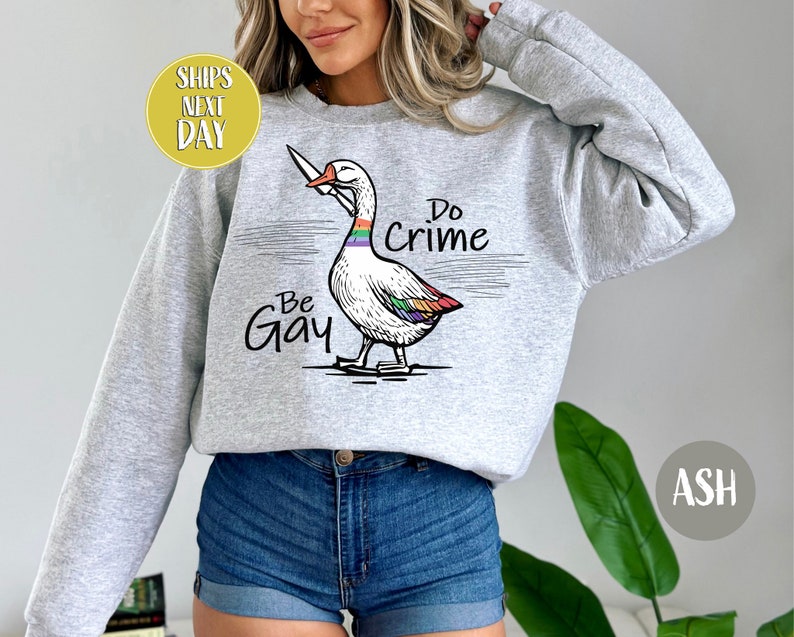 Be Gay Do Crime Goose Sweatshirt, Funny LGBTQ Hoodie, Gay Pride Trans Gift, Cute Gay Pride Shirts, Funny Duck Goose Sweat And Hoodie-RM017 image 2