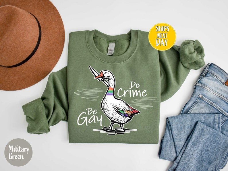 Be Gay Do Crime Goose Sweatshirt, Funny LGBTQ Hoodie, Gay Pride Trans Gift, Cute Gay Pride Shirts, Funny Duck Goose Sweat And Hoodie-RM017 image 7
