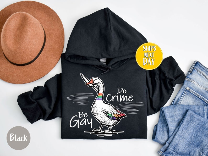 Be Gay Do Crime Goose Sweatshirt, Funny LGBTQ Hoodie, Gay Pride Trans Gift, Cute Gay Pride Shirts, Funny Duck Goose Sweat And Hoodie-RM017 image 8