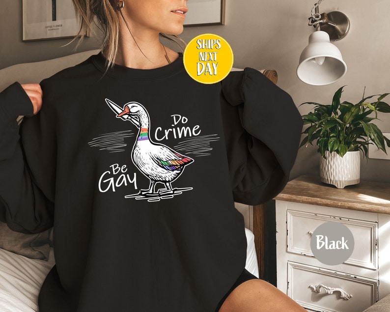 Be Gay Do Crime Goose Sweatshirt, Funny LGBTQ Hoodie, Gay Pride Trans Gift, Cute Gay Pride Shirts, Funny Duck Goose Sweat And Hoodie-RM017 image 5