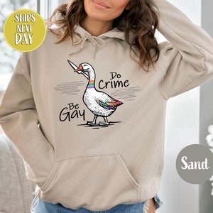 Be Gay Do Crime Goose Sweatshirt, Funny LGBTQ Hoodie, Gay Pride Trans Gift, Cute Gay Pride Shirts, Funny Duck Goose Sweat And Hoodie-RM017 image 4