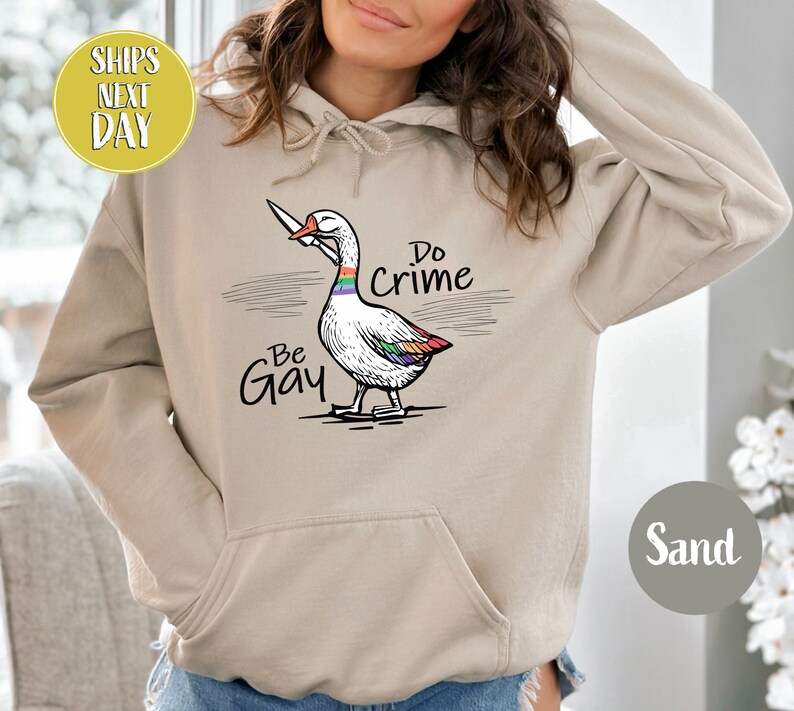 Be Gay Do Crime Goose Sweatshirt, Funny LGBTQ Hoodie, Gay Pride Trans Gift, Cute Gay Pride Shirts, Funny Duck Goose Sweat And Hoodie-RM017 image 4