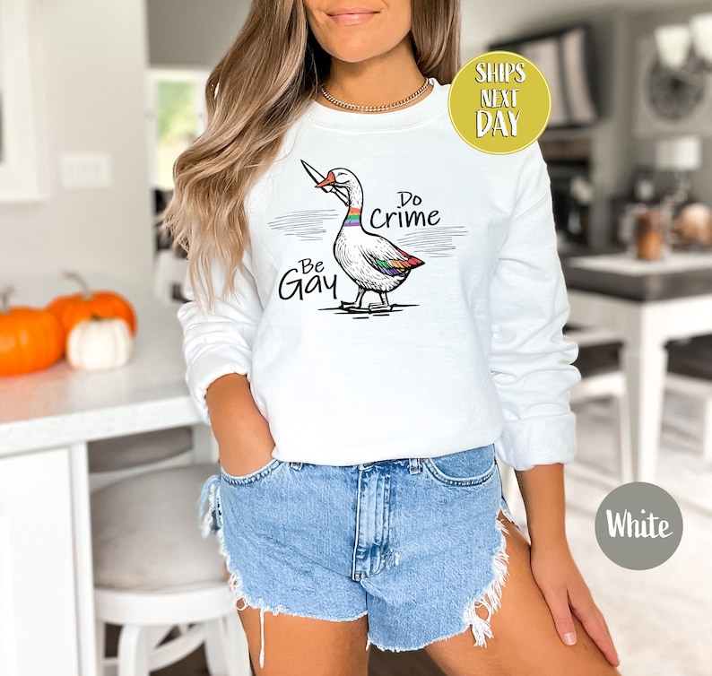 Be Gay Do Crime Goose Sweatshirt, Funny LGBTQ Hoodie, Gay Pride Trans Gift, Cute Gay Pride Shirts, Funny Duck Goose Sweat And Hoodie-RM017 image 3