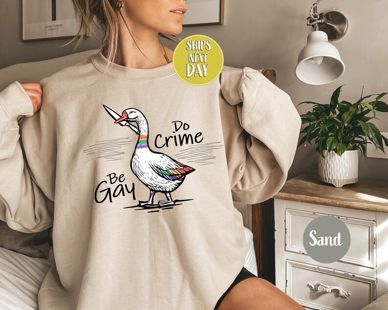 Be Gay Do Crime Goose Sweatshirt, Funny LGBTQ Hoodie, Gay Pride Trans Gift, Cute Gay Pride Shirts, Funny Duck Goose Sweat And Hoodie-RM017 image 1