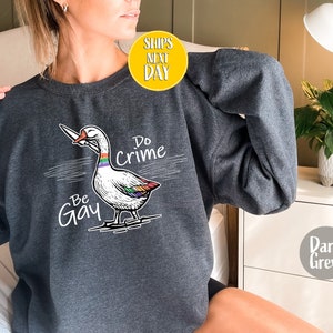 Be Gay Do Crime Goose Sweatshirt, Funny LGBTQ Hoodie, Gay Pride Trans Gift, Cute Gay Pride Shirts, Funny Duck Goose Sweat And Hoodie-RM017 image 6