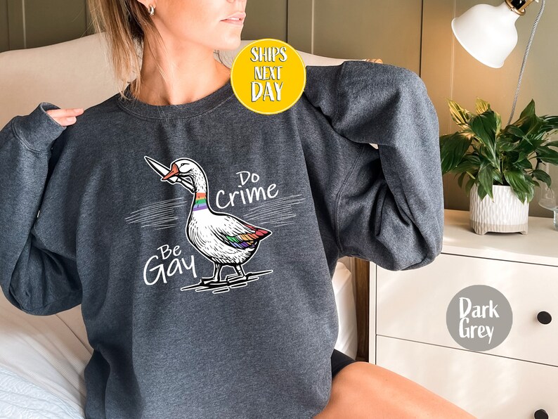 Be Gay Do Crime Goose Sweatshirt, Funny LGBTQ Hoodie, Gay Pride Trans Gift, Cute Gay Pride Shirts, Funny Duck Goose Sweat And Hoodie-RM017 image 6