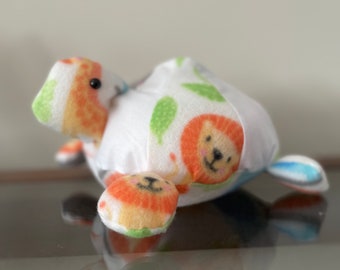 Timmy turtle