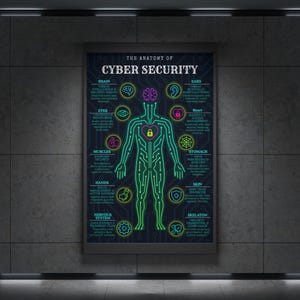May include: A poster titled "The Anatomy of Cyber Security" features a diagram of a human figure with internal organs labeled with cyber security terms. The figure is outlined in neon green with a dark blue background. The poster is displayed on a gray wall.