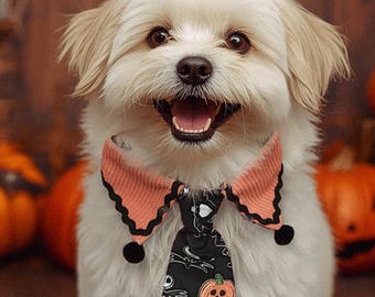 May include: A smiling white dog wearing a Halloween-themed tie and collar, surrounded by pumpkins and festive decorations. The tie features a pumpkin design. The background includes a banner that says "WELCOME".
