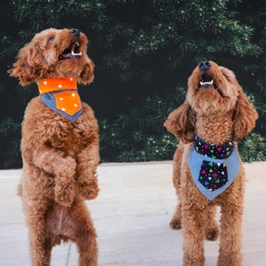 Personalized Reversible Dog Bandana - Custom Tie & Snap Pet Scarf, Double-Sided Neckwear - New Puppy Gift