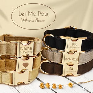 Luxury Custom Velvet Dog Collar & Harness Set – Engraved Bow Tie and Matching Leash – Red, Brown, Gray, Yellow or Black Puppy Outfit