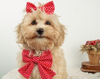 Ribbon Dog Bandana, Dog Neckwear, Dog Accessories, Cute Dog Scarf, Dog Collar, Holiday Dog Bandana, Pet Bandana, Gift for Pet, Dog Collar