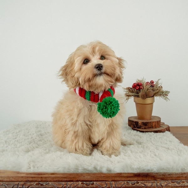 Écharpe de chien de Noël au crochet rouge, vert et blanc faite à la main avec Pom Pom, vêtements de cou pour animaux de compagnie en tricot personnalisé, cadeau de propriétaire de chien, accessoires de Noël pour chien