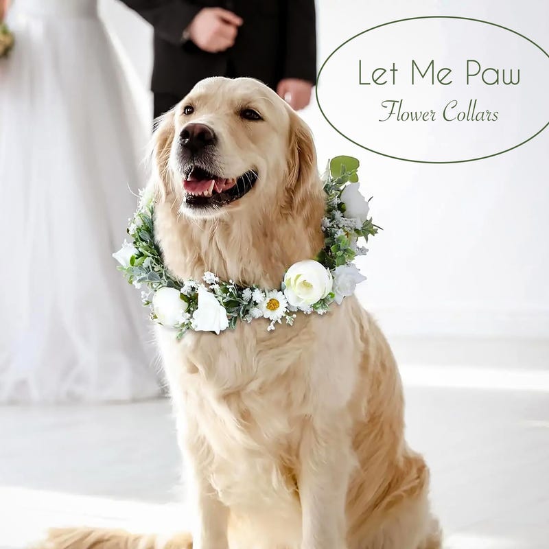 dog-flower-photos-etsy-uk