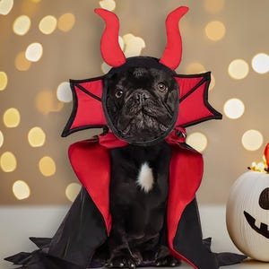 Halloween Devil & Vampire Pet Costume – Black and Red Cloak with Horn Headpiece for Dogs and Cats – Spooky Party Outfit – One Size Fits Most