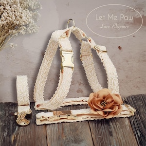 Peut inclure: Ensemble de harnais pour chien en dentelle ivoire avec des éléments dorés et une grande fleur. L'ensemble comprend un harnais, un collier et une laisse. Le texte "Let Me Paw Lace Elegance" est visible.