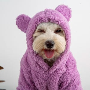 Puede incluir: Un perro pequeño y blanco que lleva un traje con capucha morada y esponjosa con orejas de oso. El perro está guiñando un ojo y tiene la lengua fuera. El traje está hecho de un material suave y texturizado. El fondo es blanco liso.