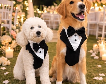 Arnés Esmoquin Negro para Perro – Traje Formal con Pajarita – Outfit Elegante de Boda