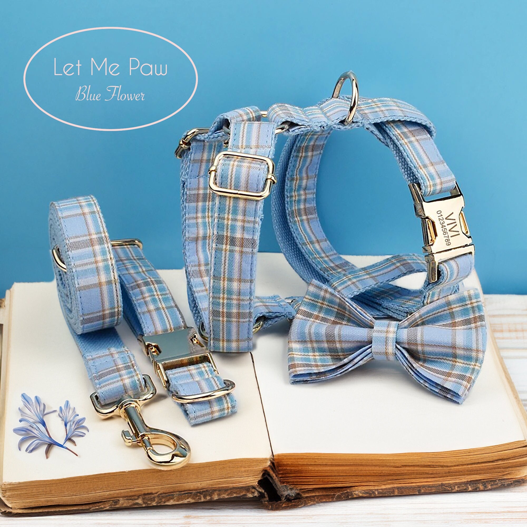 Chemise manches courtes Bob en micro-oxford bleu - Col boutonné | Café
