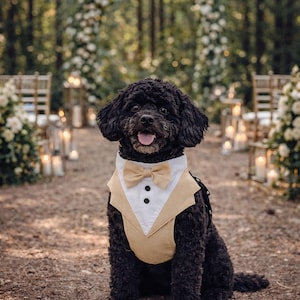 Beige tuxedo dog harness on a black poodle sitting at an outdoor forest wedding ceremony with candles, floral arch, and decorated aisle. The formal dog outfit includes a bow tie and vest style design, perfect for weddings, engagements, and special occasions.