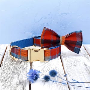 May include: A dog collar and bow tie set. The collar is blue with a gold-colored metal buckle and a plaid pattern in orange, red, and blue. The matching bow tie is also plaid. The set is on a white wooden surface with blue flowers.