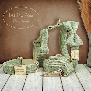 Puede incluir: Un juego verde de tweed para perros que incluye collar, arnés y correa, con herrajes dorados. El collar y el arnés tienen una placa con el nombre "Madonna" y un número de teléfono. El texto "Let Me Paw Green Tweed" está en la esquina superior izquierda.