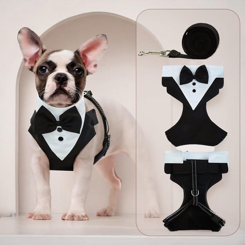 Black tuxedo dog harness set on a French bulldog with matching leash, shown with front and back views. Formal dog outfit with bow tie and vest style design, including adjustable harness and leash, perfect for weddings and special occasions.
