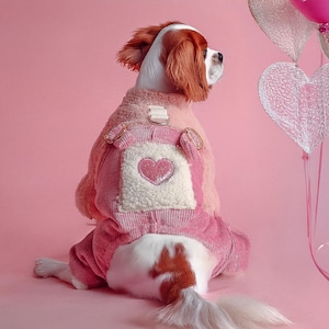 Op de afbeelding: Een Cavalier King Charles Spaniel draagt een roze hondenpak met een hartvormige patch. Het pak heeft een ribfluweel textuur en een zachte, lichtroze voering. De hond zit op een roze ondergrond, met hartvormige ballonnen op de achtergrond.