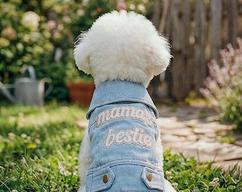 Mama’s Bestie Denim Dog Vest with Leash Ring – Small Dog Jacket, Mother’s Day
