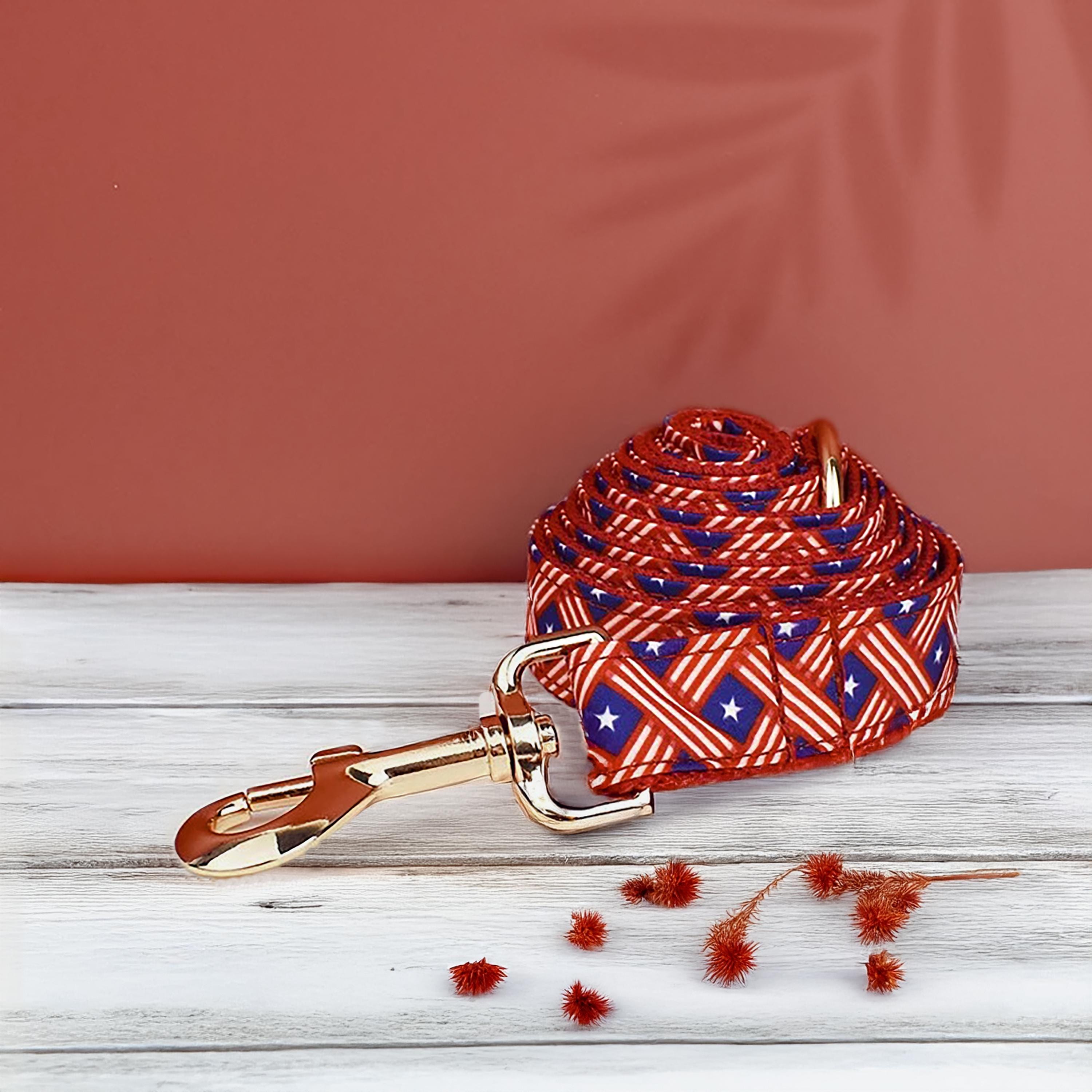 Bold Red July 4th Dog Harness & Collar Set American