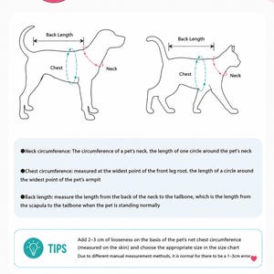 Hundsmokingsele med fluga – Formell husdjursdräkt i flera färger – Elegant bröllopsoutfit bild 9