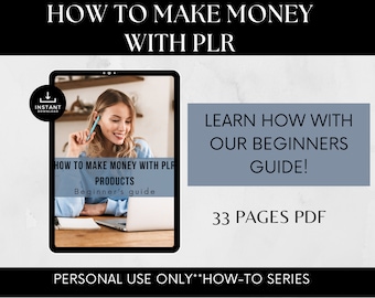 PLR Business Beginners Guide: How to Make Money eBook (Personal Use Only) (PDF)