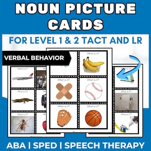 ABA behavior resources ABA tacting picture cards aba therapy session materials 310 noun flashcards data sheet template verbal behavior