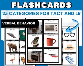ABA therapy materials ABA behavior 545 tacting noun flashcards datasheet template verbal behavior behavior analyst behavior therapist