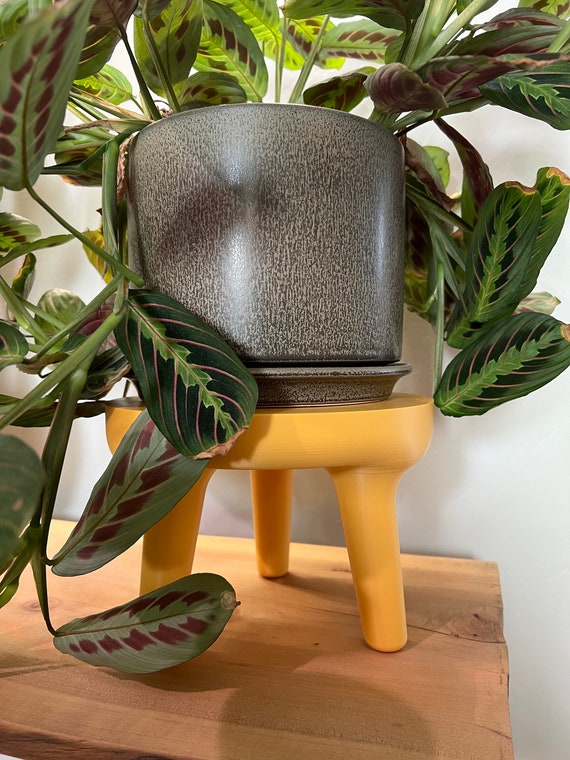3D Print File - Plant Stand, Plant Riser - Etsy