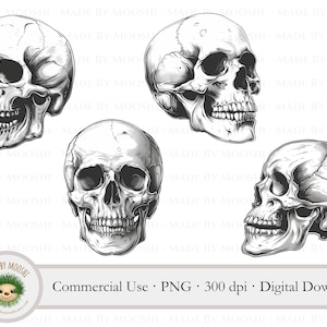 Puede incluir: Cuatro ilustraciones en blanco y negro de cráneos humanos, cada una con un ángulo y una perspectiva diferentes. Los cráneos están dibujados en un estilo realista con detalles precisos.