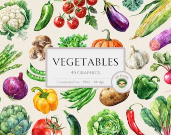 Vegetables Watercolor Clipart Bundle, Assorted Garden Vegetable Fruit Sublimation Graphics, Cute Cooking Food Design, Commercial Use PNG