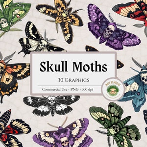 Totenkopf-Motten-Bundle-Clipart, Totenkopf-Falkenmotten-Insekten-Grafik, süßes Witchy Magical Gothic Mottenkäfer-Design, kommerzielle Nutzung Download PNG