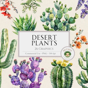 Plantes du désert aquarelle Bundle Clipart, sublimation graphiques de fleurs de cactus, jolie Saguaro figue de Barbarie Design, usage Commercial PNG