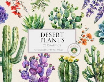 Desert Plants Watercolor Bundle Clipart, Cactus Flowers Sublimation Graphics, Pretty Saguaro Prickly Pear Palm Design, Commercial Use PNG