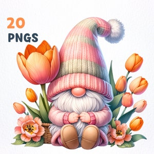 Aquarell Tulpe Gnome Clipart Bundle | 20 hochwertige PNGs | Gnom Tulpe Clipart, Tulpe Gnome PNG Grafiken, Gnom Sublimation