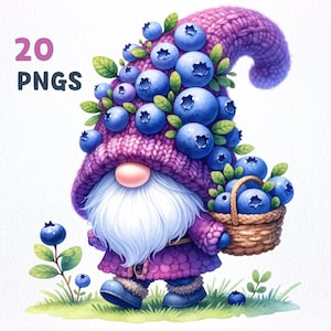 Watercolor Blueberry Gnome Clipart bundle | 20 High-Quality PNGs | Blueberry Gnome clipart, Blueberry Gnome png graphics, Gnome sublimation