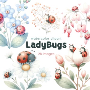 Lieveheersbeestjes met bloemen aquarel clipartset, schattige lieveheersbeestje en bloemen illustraties, lieveheersbeestje illustraties voor kinderkamerinrichting