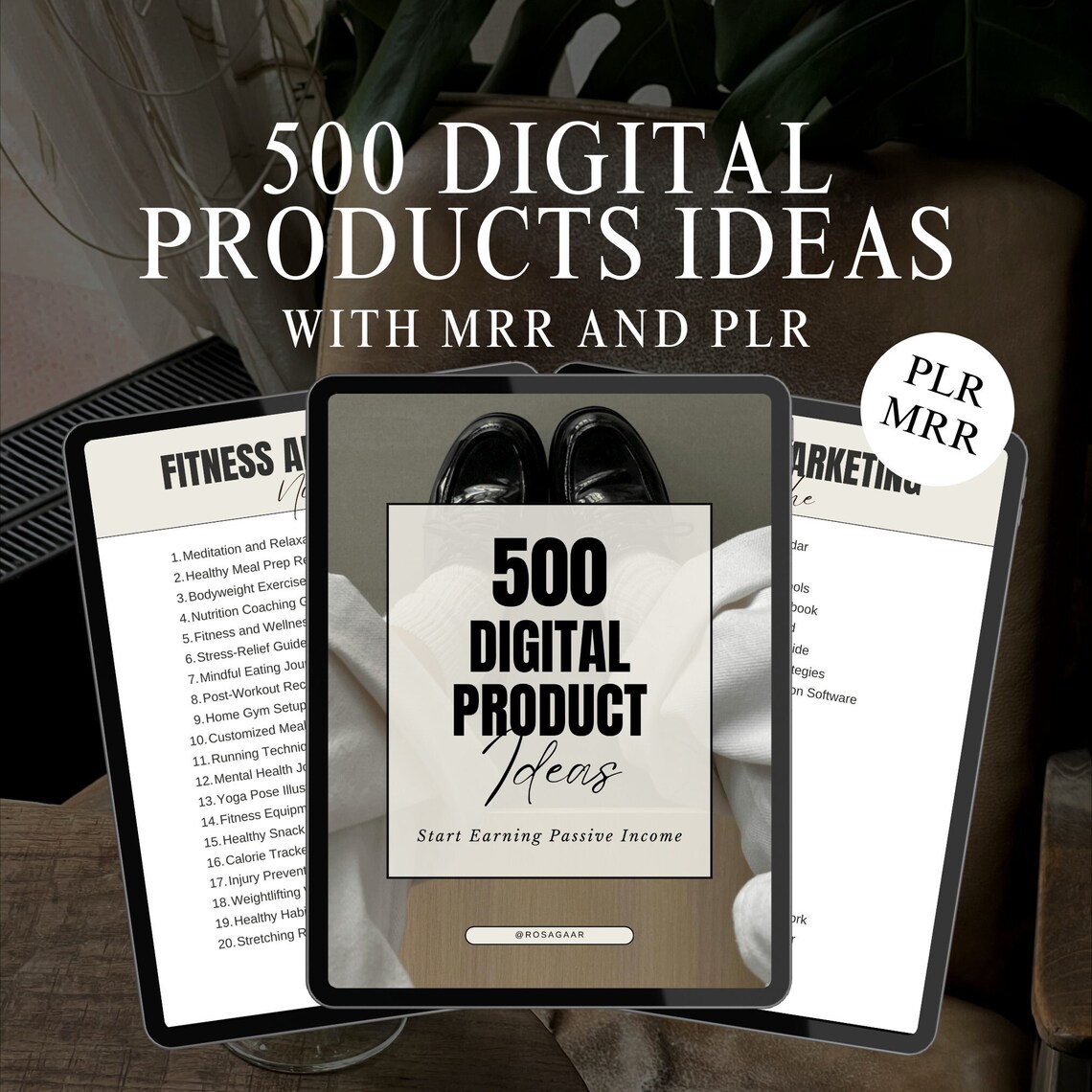 500 Digital Product Ideas Done for You With MRR and PLR - Etsy