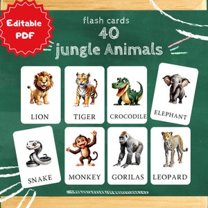 jungle Animal, 40 Editable Montessori Cards, animal Educational Printable Cards, preschool Toys Flashcard,Instant Download pdf, Nomenclature
