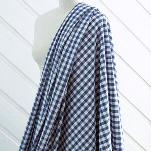 Pode incluir: Um tecido gingham azul e branco com um padrão xadrez. O tecido está drapeado sobre um manequim.