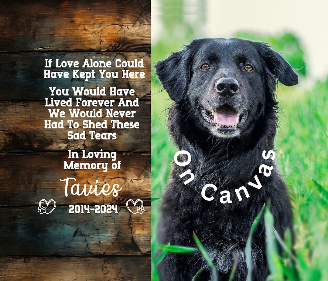 Custom Photo Pet Loss Canvas, Personalized Pet Memorial Canvas, Pet
