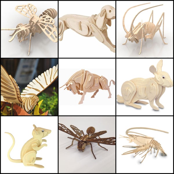 25 laser cutting projects, animals, insects, birds.