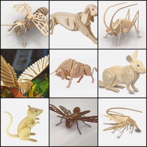 25 Laserschnittprojekte, Tiere, Insekten, Vögel.
