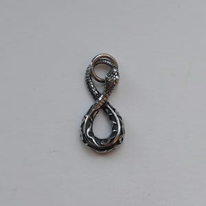 Peut inclure: Un pendentif argenté en forme de symbole infini, avec un motif de serpent. La tête du serpent est en haut, et le corps forme le chiffre huit. Le pendentif présente des écailles détaillées et des motifs décoratifs.